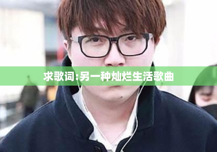 求歌词:另一种灿烂生活歌曲