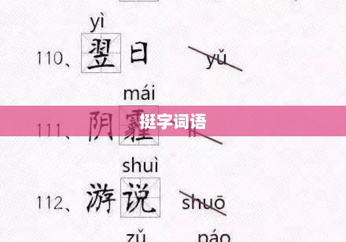 挺字词语，挺字词语大全