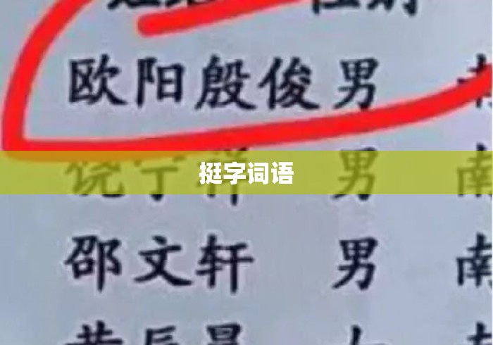 挺字词语，挺字词语大全，挺立、挺拔、挺进、挺直——常用挺字词语分类与用法解析
