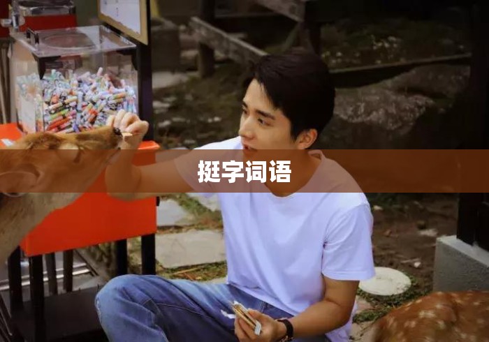 挺字词语 挺字词语
