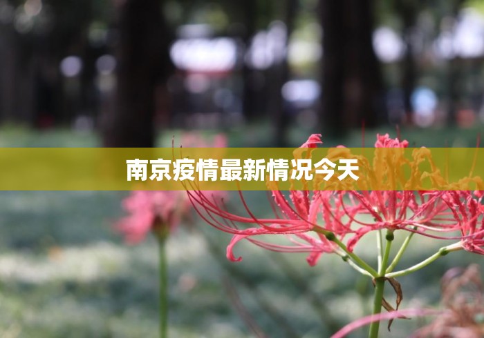 南京疫情最新情况今天