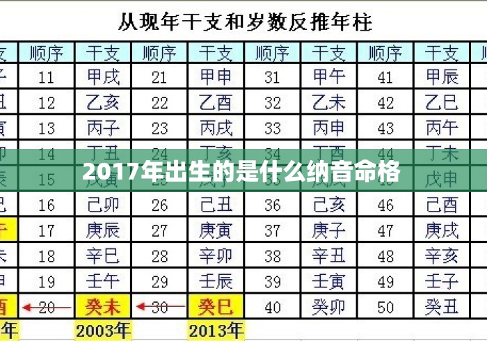 2017年出生的是什么纳音命格 2017年出生的是什么纳音命格
