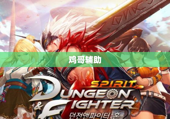 鸡哥辅助