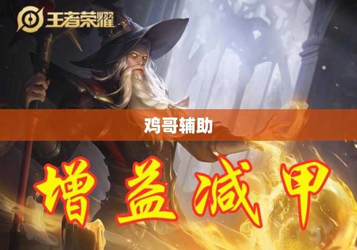 鸡哥辅助 鸡哥辅助
