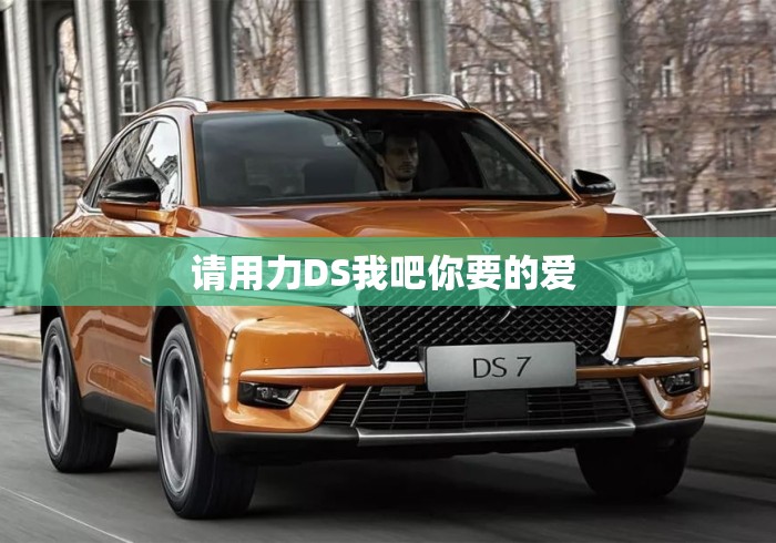 请用力DS我吧你要的爱 