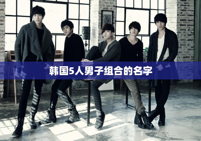 韩国5人男子组合的名字