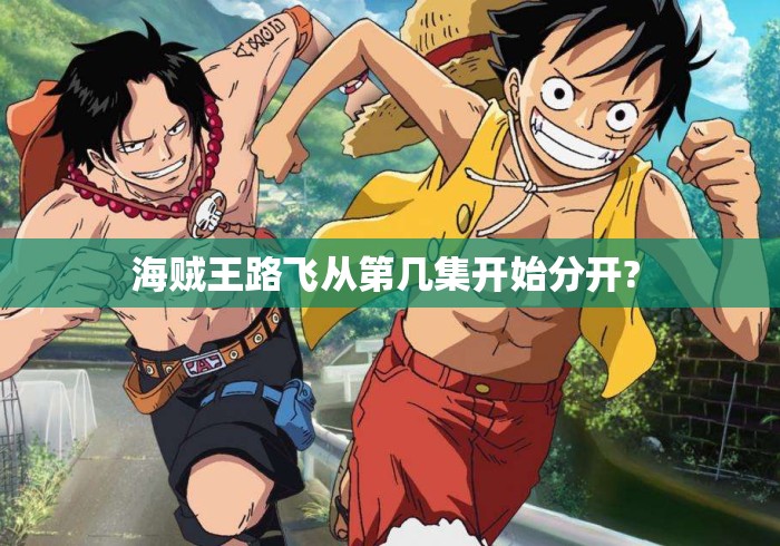 海贼王路飞从第几集开始分开? 