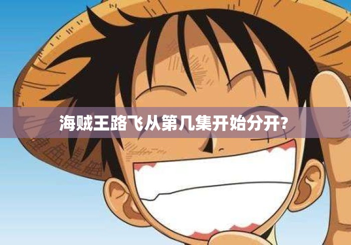 海贼王路飞从第几集开始分开? 