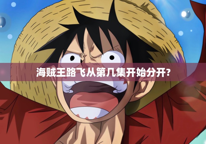 海贼王路飞从第几集开始分开?