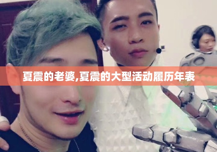 夏震的老婆,夏震的大型活动履历年表