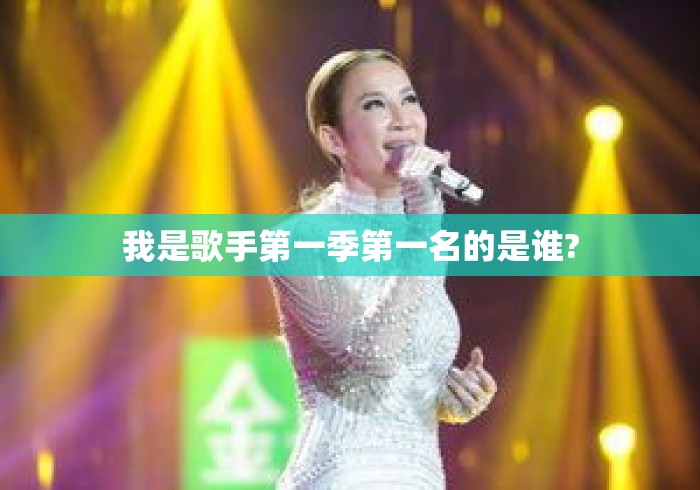 我是歌手第一季第一名的是谁? 我是歌手第一季第一名的是谁?