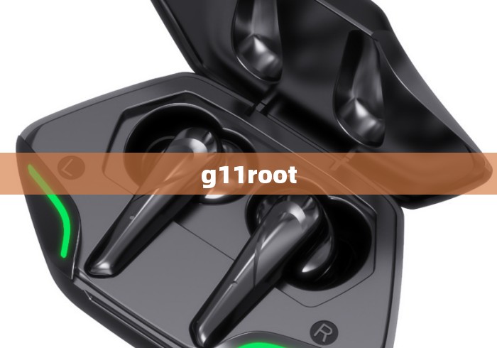 g11root g11root