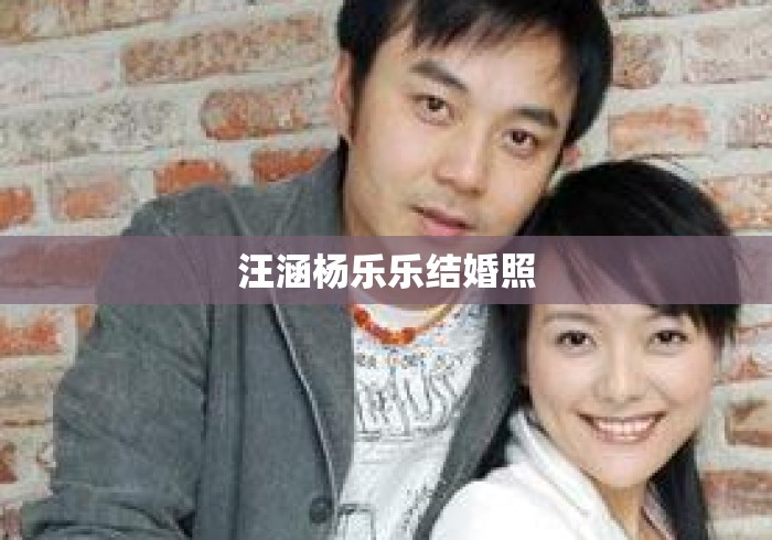 汪涵杨乐乐结婚照