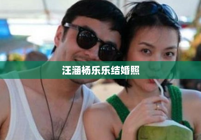 汪涵杨乐乐结婚照