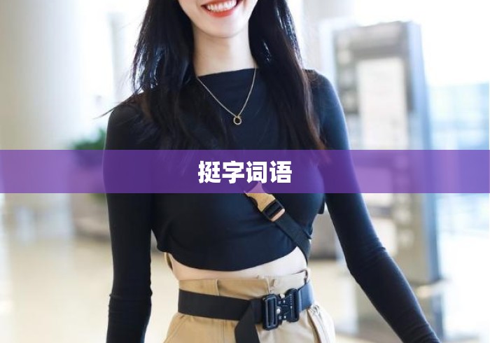 挺字词语