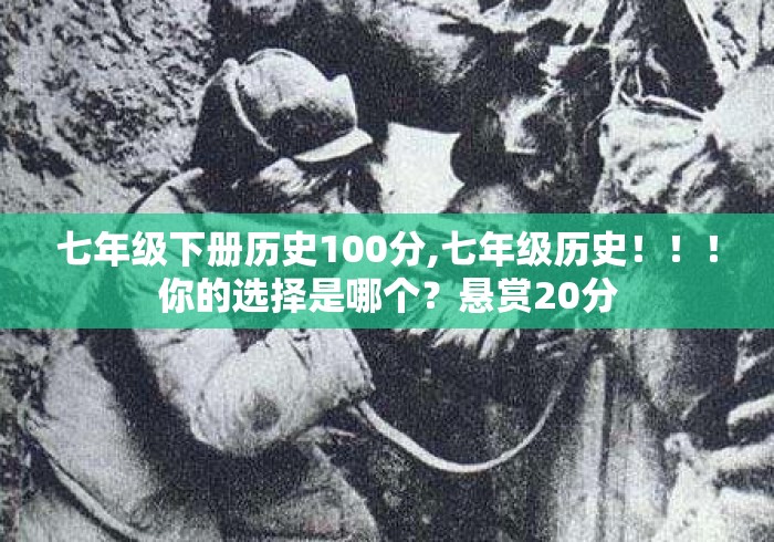 七年级下册历史100分,七年级历史！！！你的选择是哪个？悬赏20分