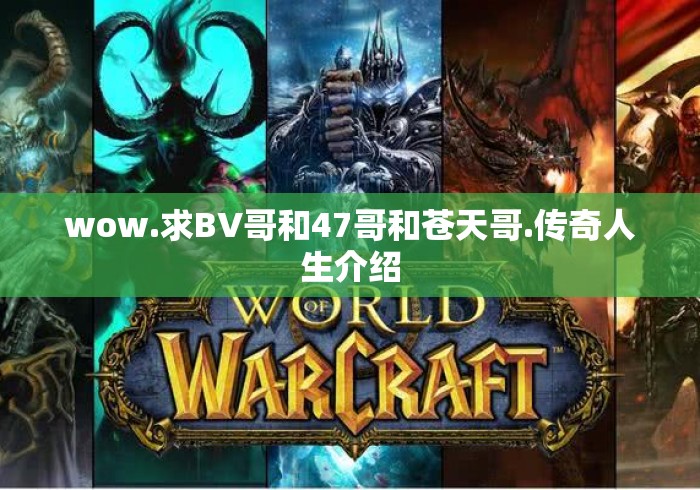 wow.求BV哥和47哥和苍天哥.传奇人生介绍