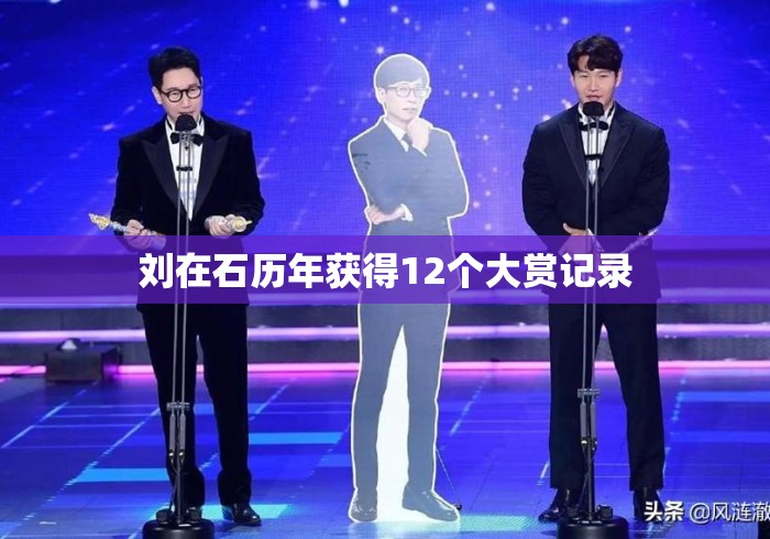 刘在石历年获得12个大赏记录