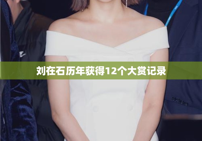 刘在石历年获得12个大赏记录 刘在石历年获得12个大赏记录