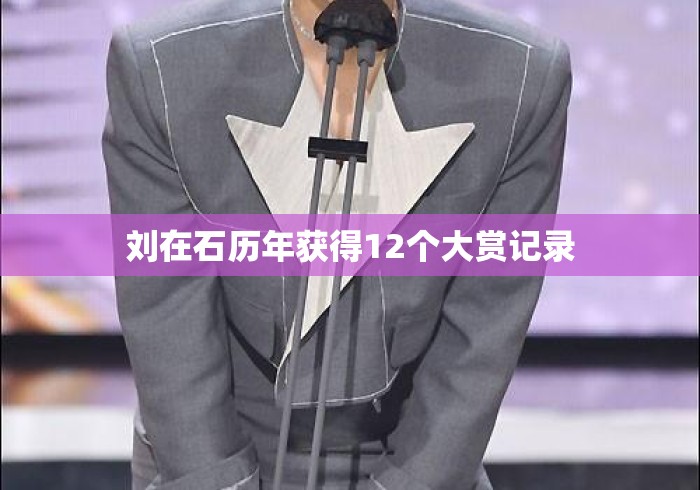刘在石历年获得12个大赏记录