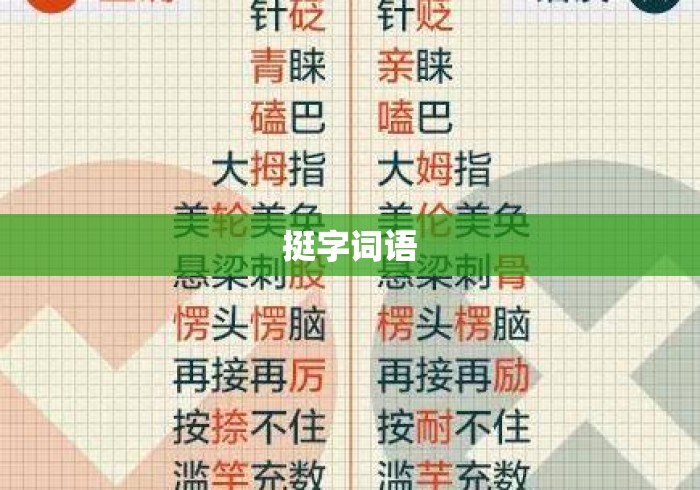 挺字词语