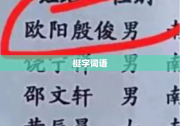 挺字词语
