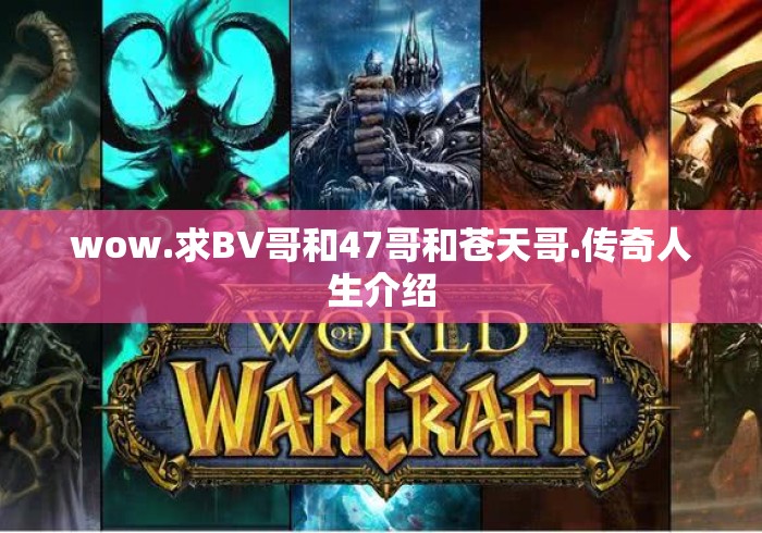 wow.求BV哥和47哥和苍天哥.传奇人生介绍