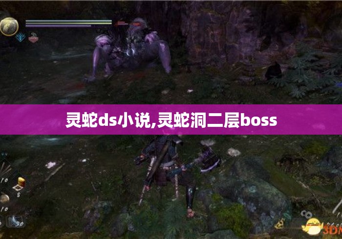 灵蛇ds小说,灵蛇洞二层boss