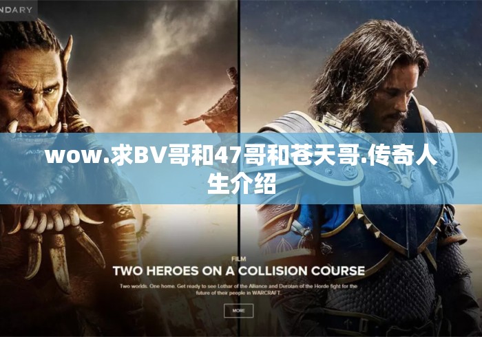 wow.求BV哥和47哥和苍天哥.传奇人生介绍