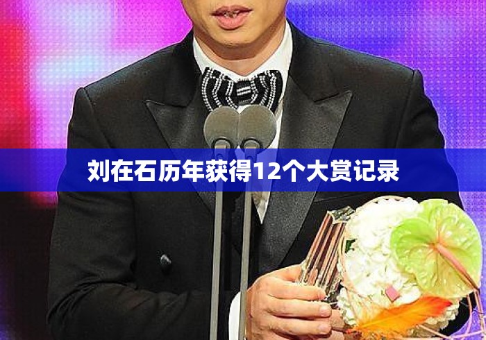 刘在石历年获得12个大赏记录 刘在石历年获得12个大赏记录