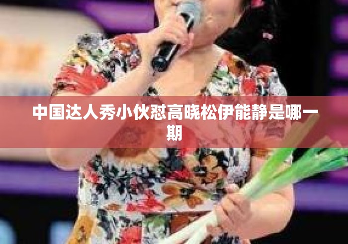 中国达人秀小伙怼高晓松伊能静是哪一期
