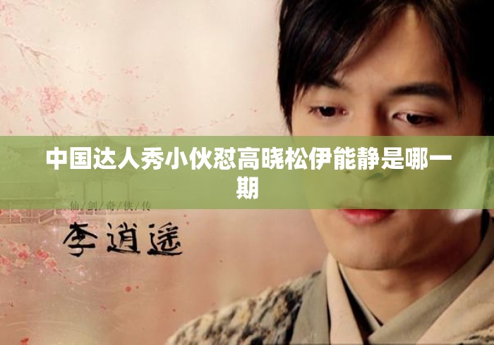 中国达人秀小伙怼高晓松伊能静是哪一期
