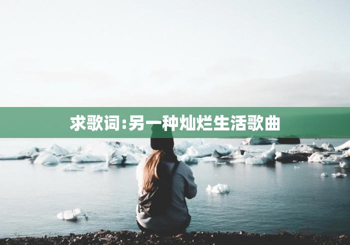 求歌词:另一种灿烂生活歌曲