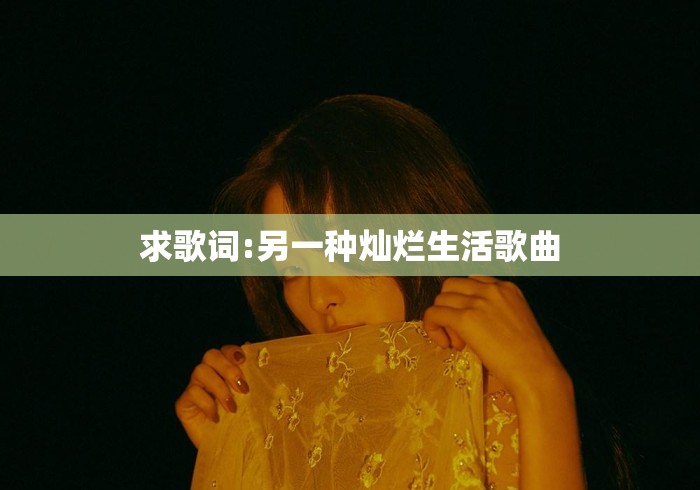 求歌词:另一种灿烂生活歌曲