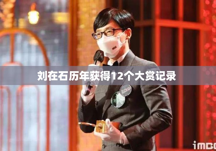 刘在石历年获得12个大赏记录 
