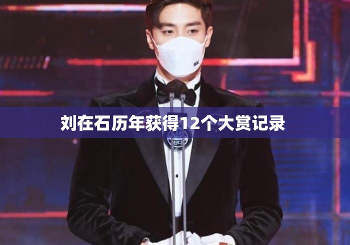 刘在石历年获得12个大赏记录 