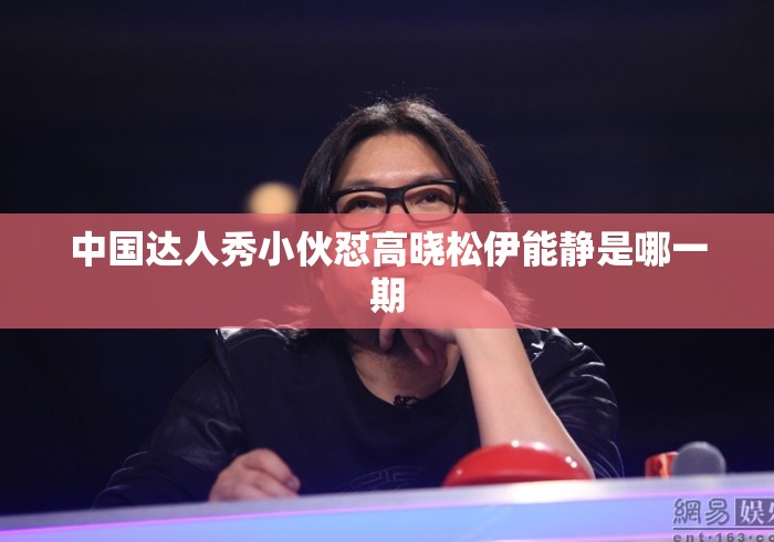 中国达人秀小伙怼高晓松伊能静是哪一期