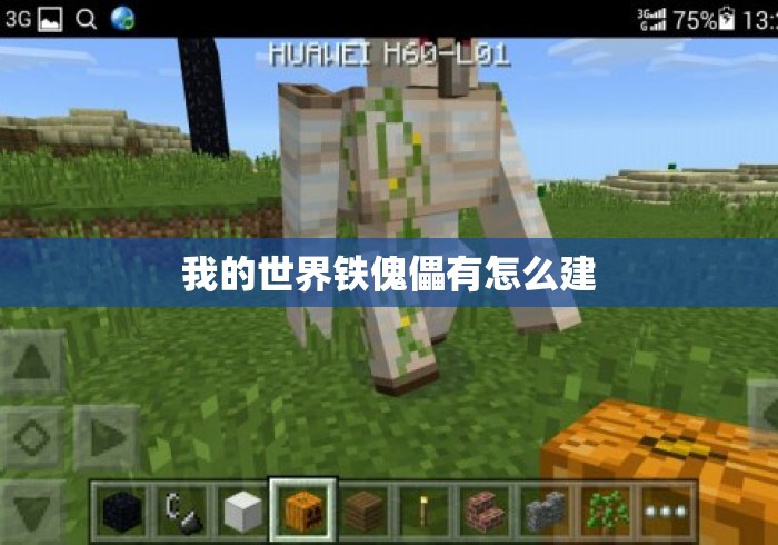 我的世界铁傀儡有怎么建 我的世界铁傀儡有怎么建