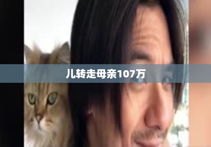 儿转走母亲107万 儿转走母亲107万