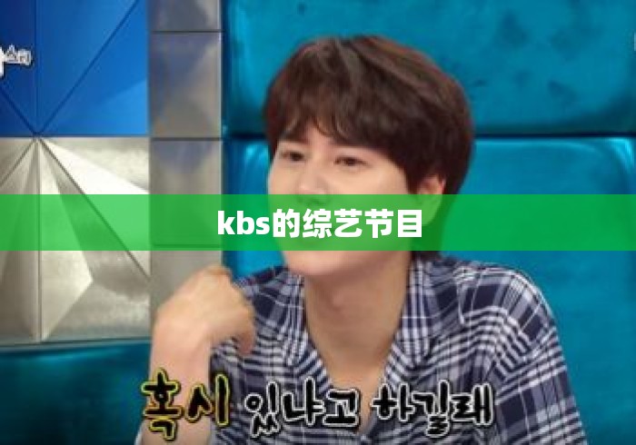 kbs的综艺节目
