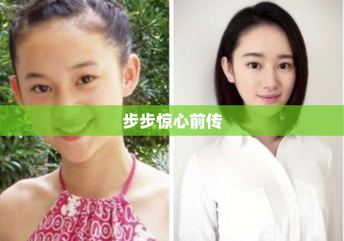 步步惊心前传 步步惊心前传