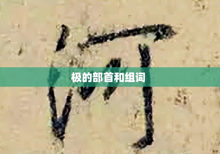 极的部首和组词 