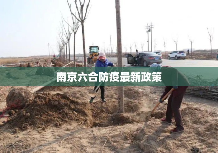 南京六合防疫最新政策