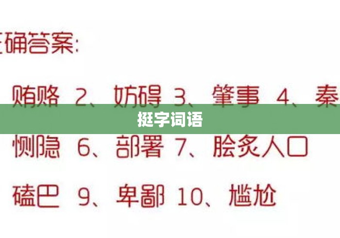 挺字词语 挺字词语