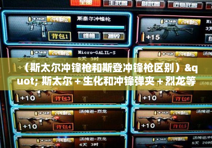 （斯太尔冲锋枪和斯登冲锋枪区别）" 斯太尔＋生化和冲锋弹夹＋烈龙等于多少斯太尔子弹