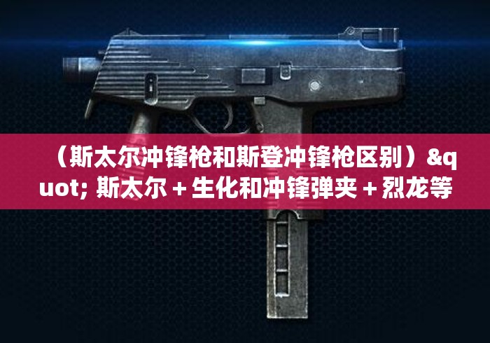 （斯太尔冲锋枪和斯登冲锋枪区别）" 斯太尔＋生化和冲锋弹夹＋烈龙等于多少斯太尔子弹