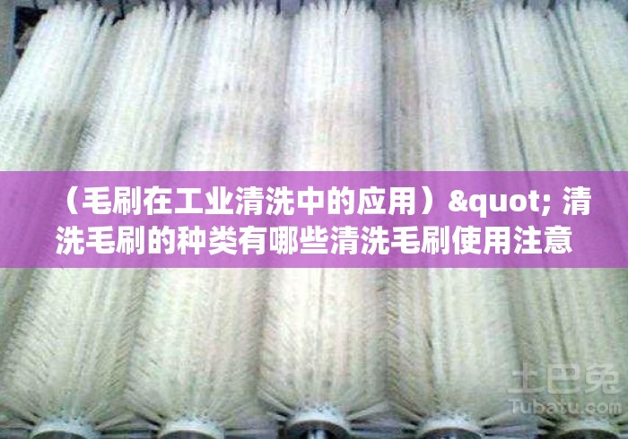 (毛刷在工业清洗中的应用)" 清洗毛刷的种类有哪些清洗毛刷使用注意事项 (毛刷在工业清洗中的应用)" 清洗毛刷的种类有哪些清洗毛刷使用注意事项