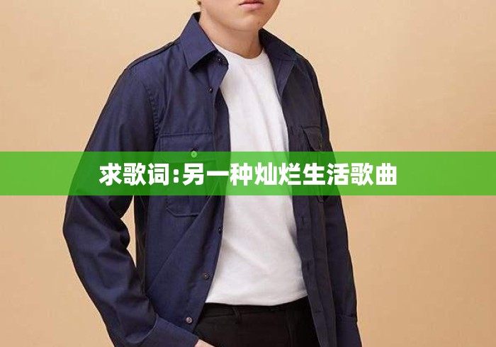 求歌词:另一种灿烂生活歌曲