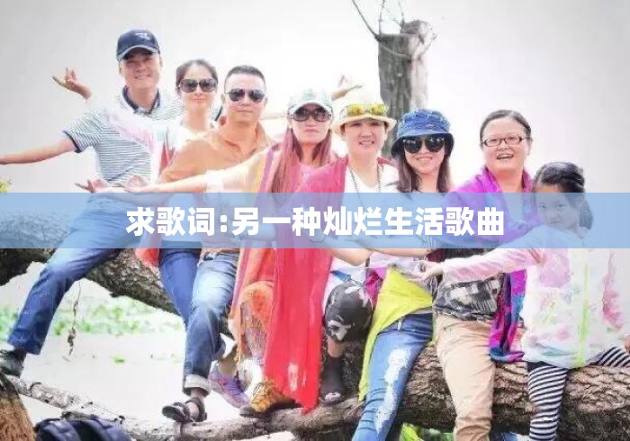 求歌词:另一种灿烂生活歌曲