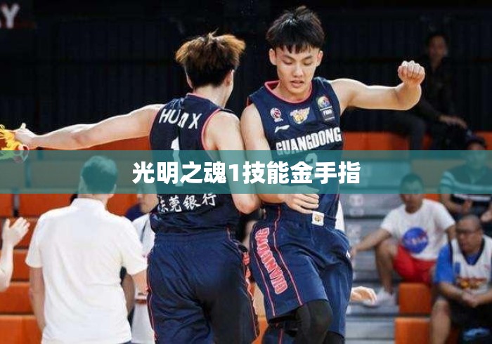 光明之魂1技能金手指 光明之魂1技能金手指